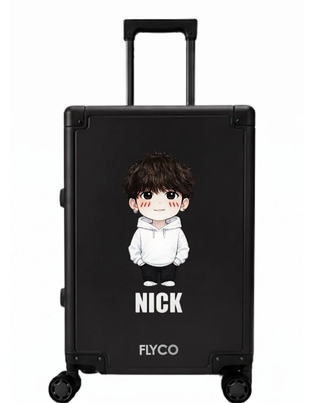 FLYCO aluminium Custom Series case